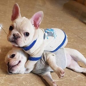 Meet your Posher, Selen